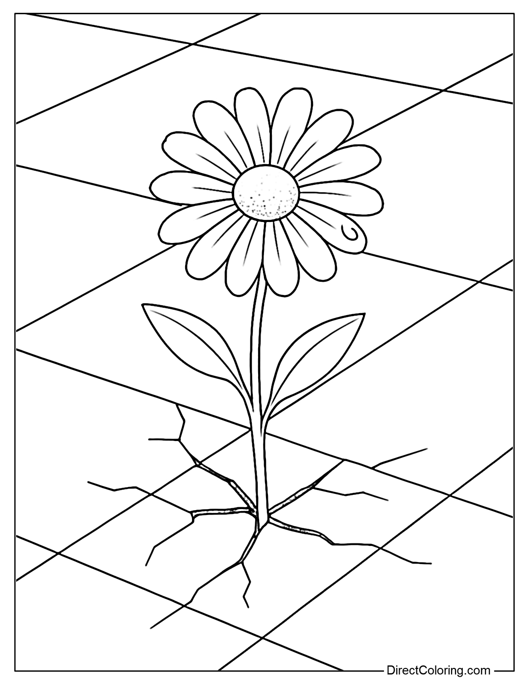 A coloring page where a small flower grows from a crack in a brick, with dew drops on its petals.
